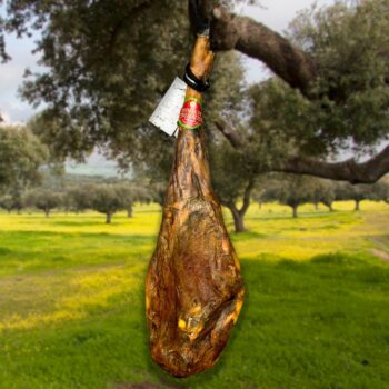 JAMON IBÉRICO PURO DE BELLOTA D.O.P DEHESA DE EXTREMADURA 6,00KG-7,00KG